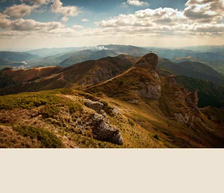 Image, cropped to center, resized with a color filled background